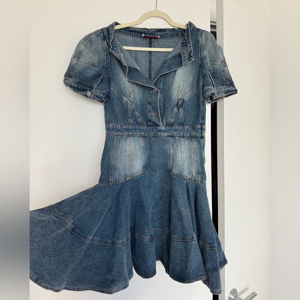 Alexander McQueen denim dress